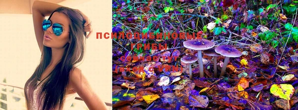 mdpv Зерноград
