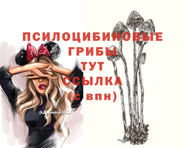 альфа пвп Зеленодольск