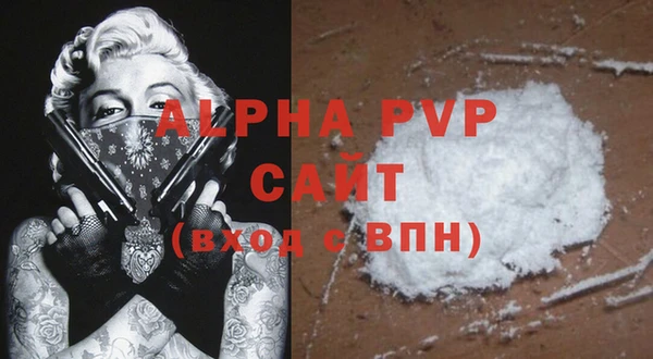 тгк Инсар