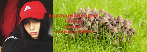 круглые Зеленокумск